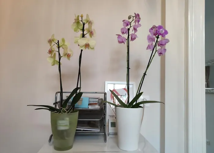 Falk Miksa Apartment