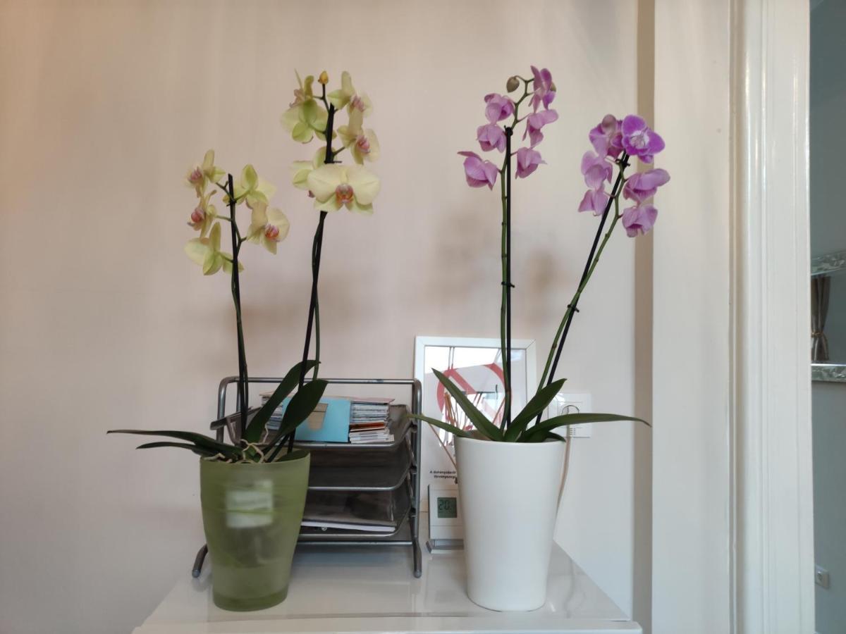 Apartamento Falk Miksa